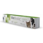 WePharm WeBiotic Fast posiluje funkci trávicí soustavy 30 ml – Hledejceny.cz