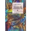 Psychedelie a psychonautika II. - Rizika užívání, spiritualita, etika a právo - Cink Vojtěch