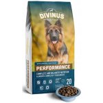Divinus Dog Performance 20 kg