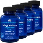 GS Magnesium Bisglycinate Pure 1000 mg + B6 4 x 100 tablet – Hledejceny.cz