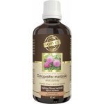 Green idea Ostropestřec tinktura 50 ml – Hledejceny.cz