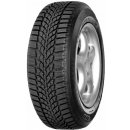 Diplomat Winter HP 205/55 R16 91T