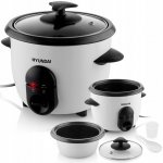 Hyundai RC 060 – Sleviste.cz