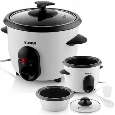 Hyundai RC 060 – Sleviste.cz