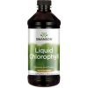 Doplněk stravy na detoxikaci Swanson Liquid Chlorophyll 100 mg 473 ml