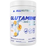 AllNutrition Glutamine Recovery Amino 500 g – Zboží Dáma