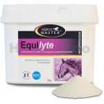 Horse Master Equilytes Powder 2 kg – Hledejceny.cz