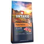 Ontario Puppy Medium Lamb & Brown Rice 6,5 kg – Hledejceny.cz
