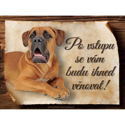 Sport hobby Cedulka Cane Corso II Po vstupu ... CP1655 15x11 – Zbozi.Blesk.cz