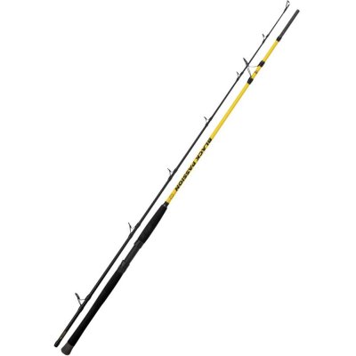 Black Cat BLACK Passion G2 spin 2,7 m 60-200 g 2 díly – Hledejceny.cz