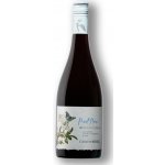 Casa Del Bosque Gran Botanic Series Pinot Noir 2023 13,5% 0,75 l (holá láhev) – Hledejceny.cz
