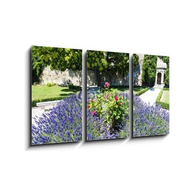 Obraz 3D třídílný - 90 x 50 cm - garden in Les Baux de-Provence, Provence, France zahrada v Les Baux de – Hledejceny.cz