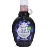 Country Life Bio sirup borůvkový 250 ml – Sleviste.cz