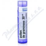 POLLEN DE GRAMINEES POR 30CH GRA 4G – Hledejceny.cz