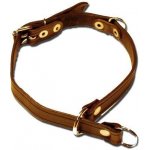 Zubíček Kombinovaný obojek z ploché kůže – Sleviste.cz