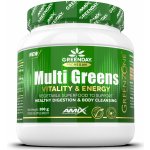Amix ProVegan MultiGreens Vitality & Energy Orange 300 g – Hledejceny.cz
