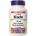 Webber Naturals Niacin 500 mg nealergický 90 kapslí – Hledejceny.cz