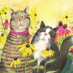 Menší přání se dvěma kočkami - design Alex Clark – Hledejceny.cz