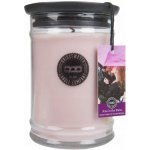 Bridgewater Candle Company Kiss in the Rain 250 g – Hledejceny.cz