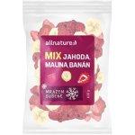 Allnature Mix lyofilizovaného ovoce jahoda malina banán 100 g – Zboží Mobilmania