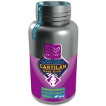 Altervet Cartilan Base K2+D3 100 tbl – Hledejceny.cz