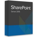 Microsoft SharePoint Svr 2016 OLP NL - 76P-01876