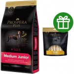 Prospera Plus Medium Junior kuře s rýží 15 kg – Hledejceny.cz