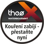 Theo X Waterboarmint 200 g – Hledejceny.cz