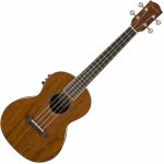 Fender Rincon – Zbozi.Blesk.cz