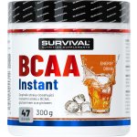 Survival BCAA Instant 300 g – Hledejceny.cz