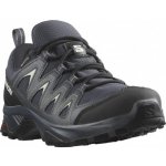 Salomon X Braze GTX W 471808 dámské nízké nepromokavé India ink/black/desert – Zboží Mobilmania