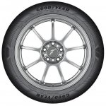 Goodyear EfficientGrip Performance 2 205/55 R16 91H | Zboží Auto