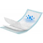 Akuku jednorázové poporodní vložky 10 ks – Zboží Dáma