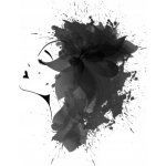 Funky Tónovací barva na vlasy Color č. 28 Black 100 ml – Zboží Dáma