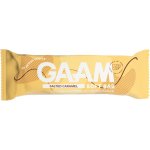GAAM Proteinová Tyčinka 45 g – Hledejceny.cz