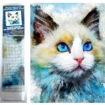 Norimpex Diamantové malování Modrý pohled 30 x 40 cm – Hledejceny.cz