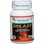 Planet Ayurveda Shilajit Mumio extrakt 6:1 500 mg 60 kapslí – Hledejceny.cz