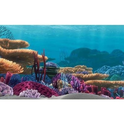 Penn Plax Nemo pozadí Hledá se Nemo 51 x 30,50 cm – Zboží Mobilmania