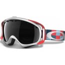 Oakley Crowbar