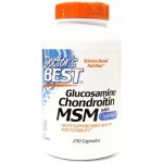 Doctor´s Best Glukosamine + Chondroitin + MSM with OptiMSM 120 kapslí – Hledejceny.cz