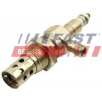 Žhavící svíčka FAST FT82719 – Zboží Mobilmania