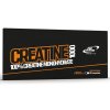 Creatin Pro Nutrition CREATINE 1000 60 kapslí