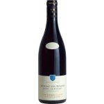 Domaine Jean-Jacques Girard Savigny les Beaune Premier Cru Les Peuillets 2023 Červené 13% 0,75 l (holá láhev) – Hledejceny.cz