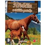 Hřebčín U Bílého potoka – Zboží Dáma