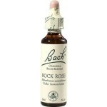 Bachovy květové esence Devaterník penízkovitý Rock Rose 20 ml – Hledejceny.cz