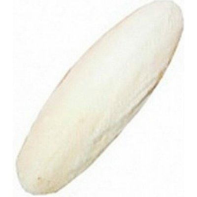 Broušená sépiová kost 12 cm (+/- 3 cm) 1kus – Zboží Dáma