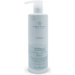 Paul Mitchell Awapuhi Wild Ginger Repair Intensive Treatment 500ml – Hledejceny.cz