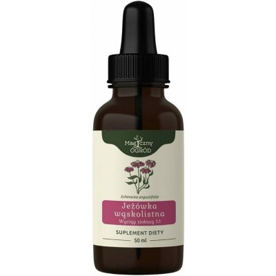 Nanga Extrakt z byliny echinacey úzkolisté 1:1 50 ml – Hledejceny.cz
