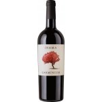 Inama Carminium 2021 Červené 13,5% 0,75 l (holá láhev) – Hledejceny.cz