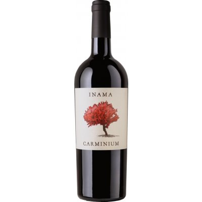 Inama Carminium 2021 Červené 13,5% 0,75 l (holá láhev) – Hledejceny.cz